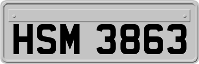 HSM3863