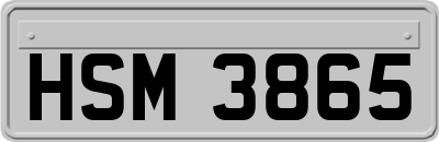HSM3865
