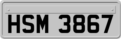 HSM3867