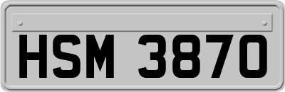 HSM3870