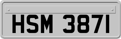 HSM3871