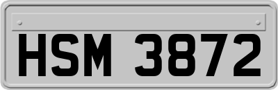 HSM3872