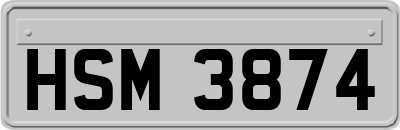 HSM3874