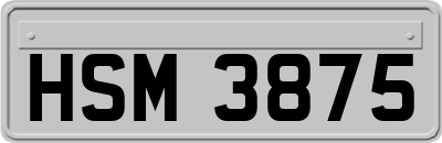 HSM3875