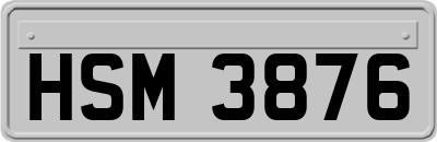 HSM3876