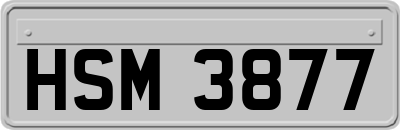 HSM3877