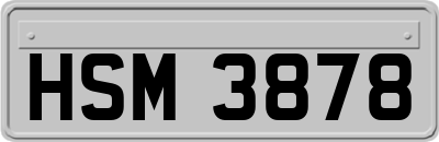 HSM3878