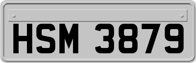 HSM3879