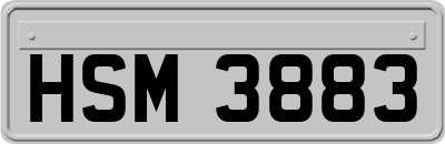 HSM3883