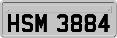 HSM3884