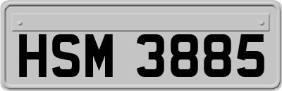 HSM3885