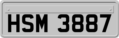 HSM3887
