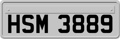 HSM3889