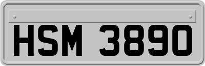 HSM3890