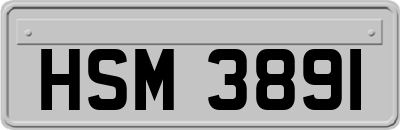 HSM3891
