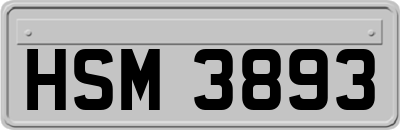 HSM3893