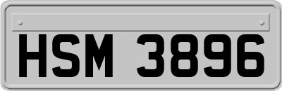 HSM3896