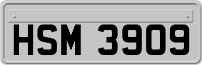 HSM3909