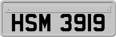 HSM3919
