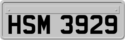 HSM3929