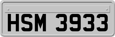 HSM3933