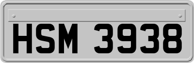 HSM3938