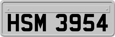 HSM3954