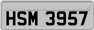 HSM3957