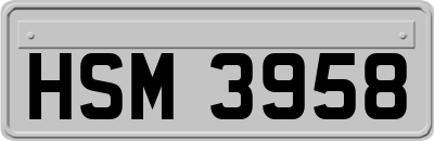 HSM3958