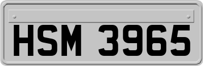 HSM3965