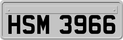 HSM3966