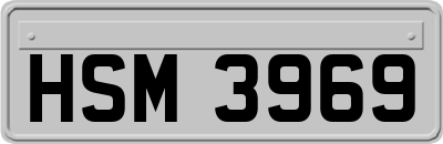HSM3969