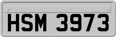 HSM3973