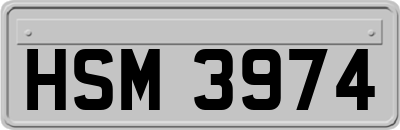 HSM3974