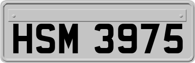 HSM3975