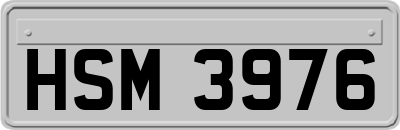 HSM3976