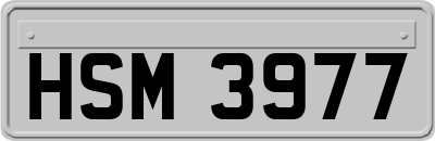HSM3977