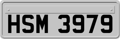 HSM3979