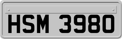 HSM3980