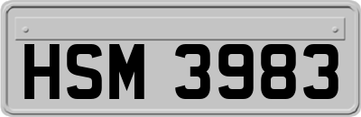 HSM3983