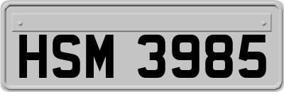 HSM3985