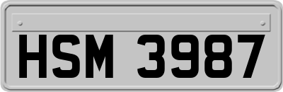 HSM3987