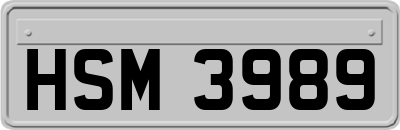 HSM3989