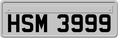 HSM3999