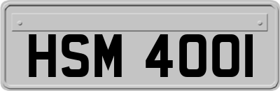 HSM4001