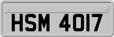 HSM4017