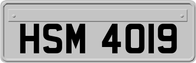 HSM4019