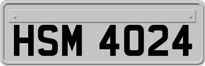 HSM4024