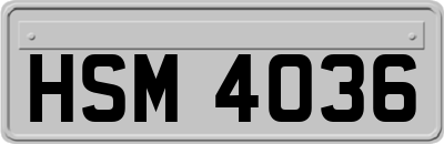 HSM4036