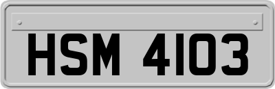 HSM4103